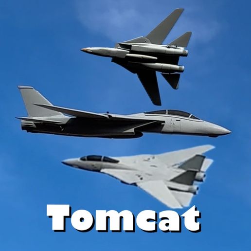 f-14_tomcat_twin_50_aircraft_image_1