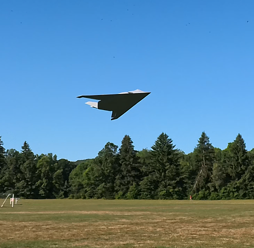 f117_stealth_fighter_twin_40mm_aircraft_image_1