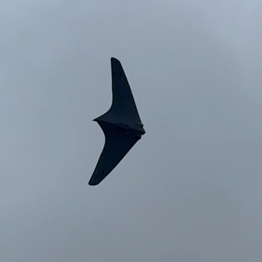 Horten Wing Twin 50mm