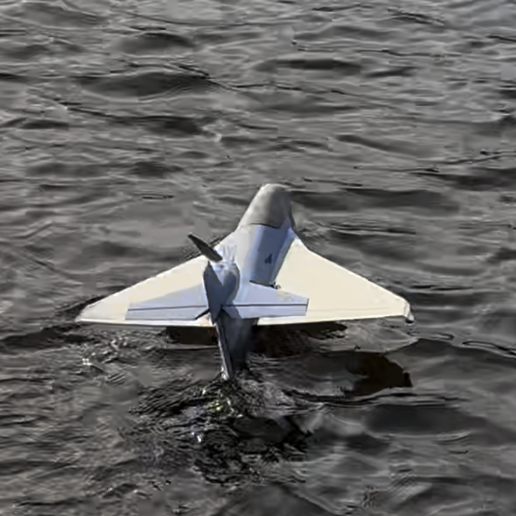 Vermax Prop Jet. Water and land Jet