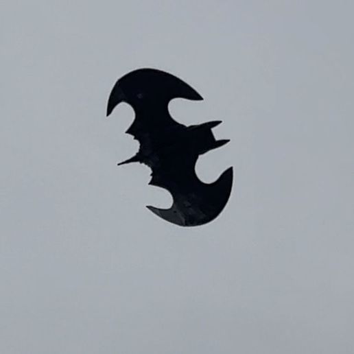 Batwing twin 50mm and twin 64mm with retracts