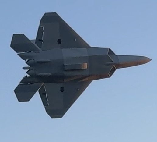 platinum_f22_raptor_64mm_with_thrust_vectoring_aircraft_image_1
