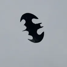 batwing_twin_50mm_and_twin_64mm_with_retracts_aircraft_image_1