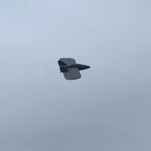 facet_opal_aircraft_image_1
