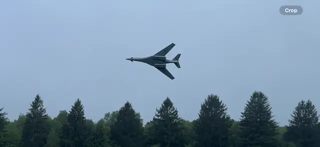 B1 Bone